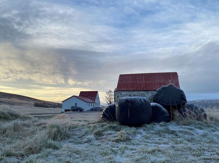 هتل Fljotsbakki Farm