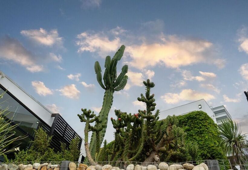 酒店 La Cima Del Valle