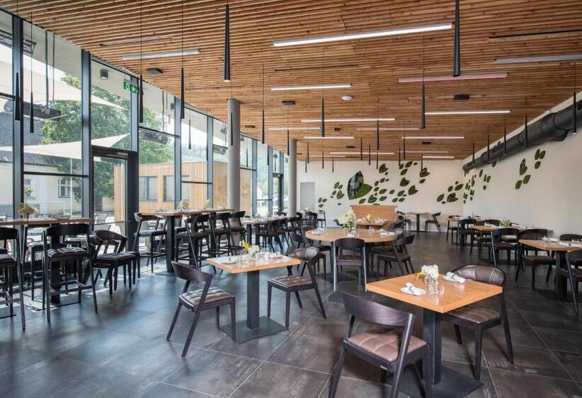 בית מלון כפרי Panská Zahrada