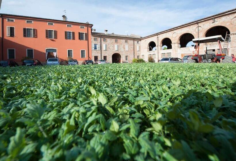 בית מלון כפרי Agriturismo Arte Contadina