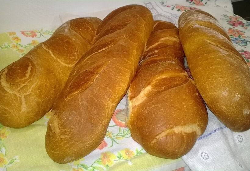 בית מלון כפרי Agriturismo Arte Contadina