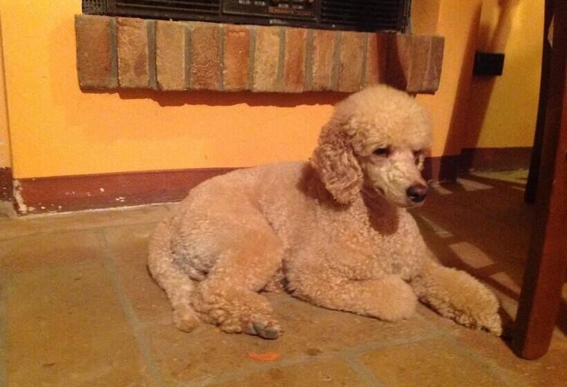 בית מלון כפרי Agriturismo Arte Contadina