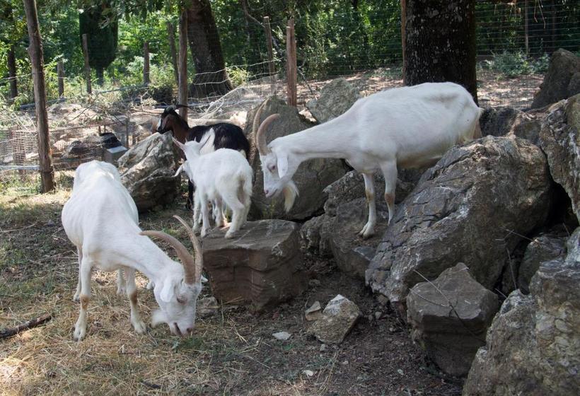 בית מלון כפרי Agriturismo Massoserpente