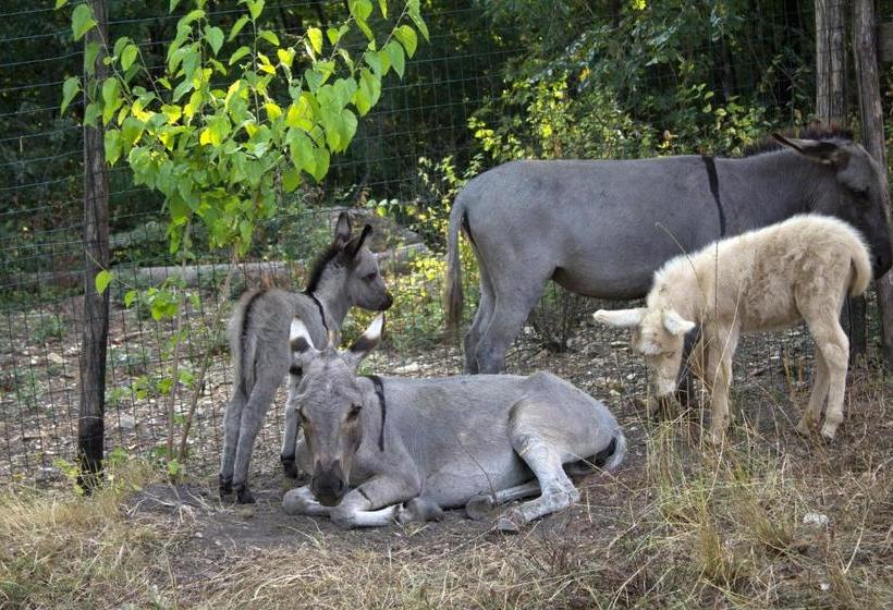 בית מלון כפרי Agriturismo Massoserpente