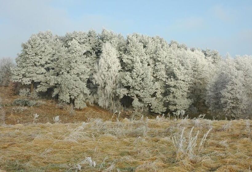 田舎風ホテル Agroturystyka U Przyjaciol Soni