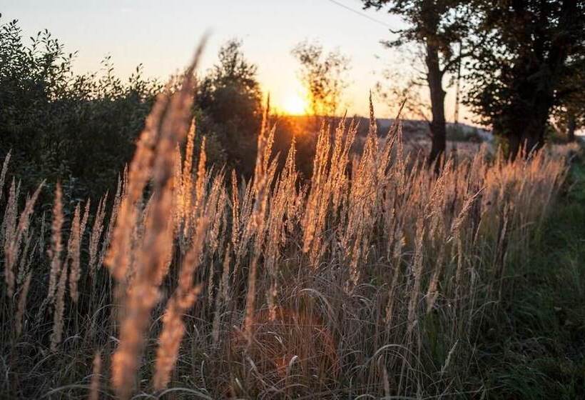 田舎風ホテル Agroturystyka U Przyjaciol Soni