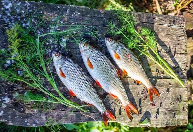 田舎風ホテル Agroturystyka U Przyjaciol Soni