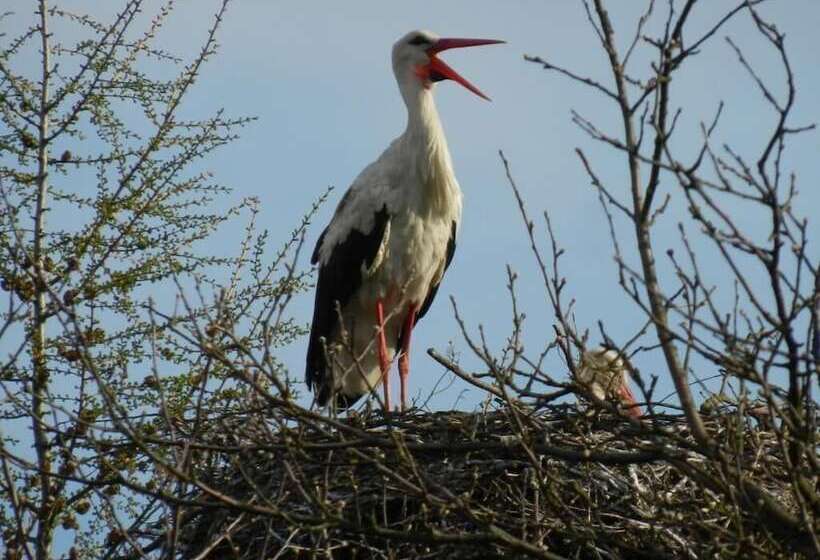 田舎風ホテル Agroturystyka U Przyjaciol Soni