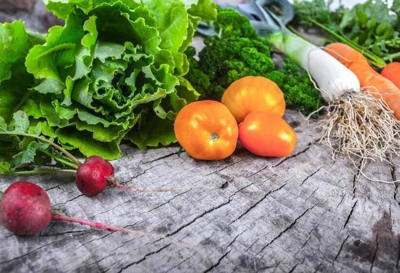 田舎風ホテル Agroturystyka U Przyjaciol Soni