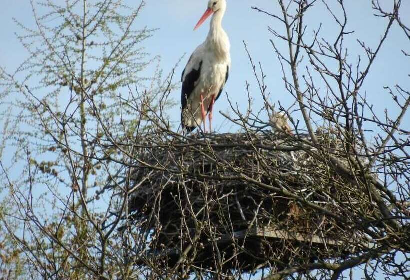 田舎風ホテル Agroturystyka U Przyjaciol Soni