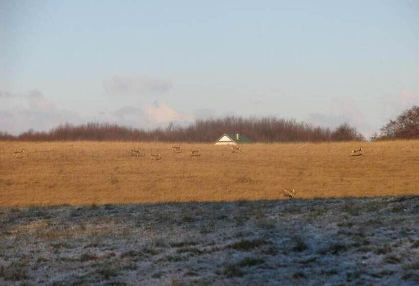 田舎風ホテル Agroturystyka U Przyjaciol Soni