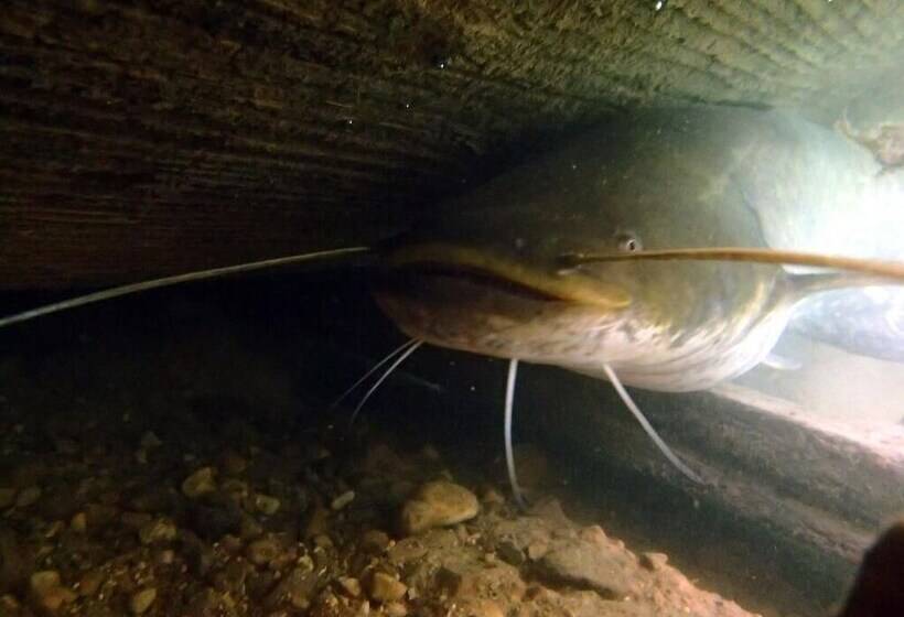 田舎風ホテル Agroturystyka U Przyjaciol Soni