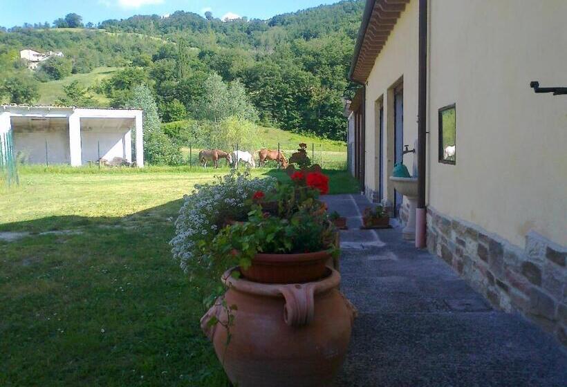 בית מלון כפרי Domus Laetitiae Santa Croce