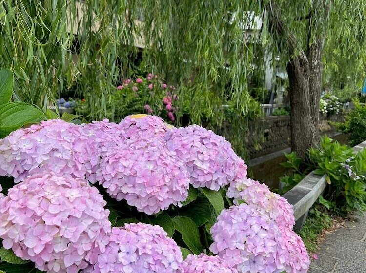 酒店 Ryugu No Tsukai