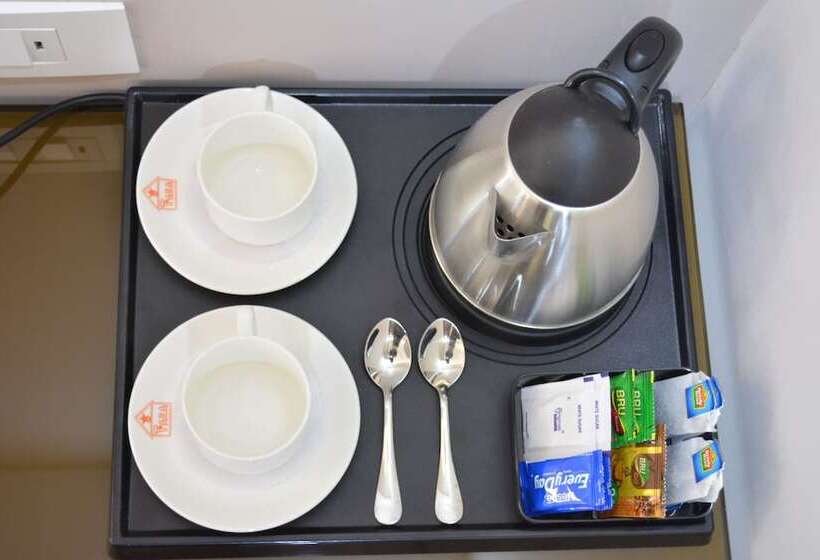 호텔 Tara Palace Daryaganj