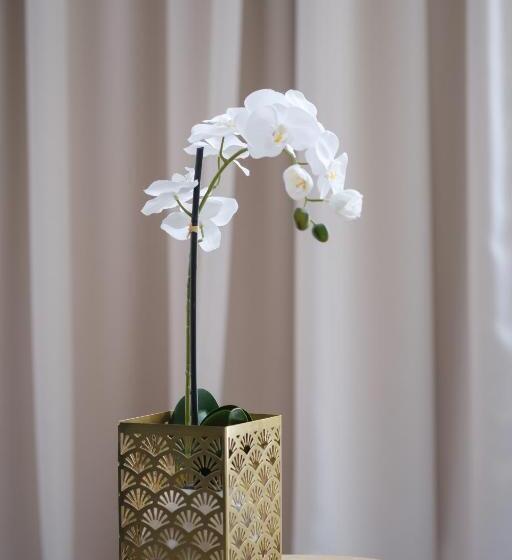 酒店 Teatro Verdi Boutique