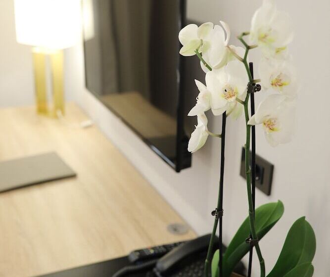 酒店 Teatro Verdi Boutique