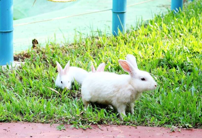هتل True Blue Beach Resort,trivandrum