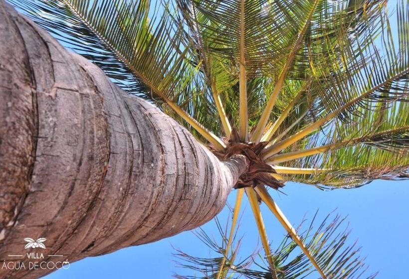 酒店 Villa Agua De Coco