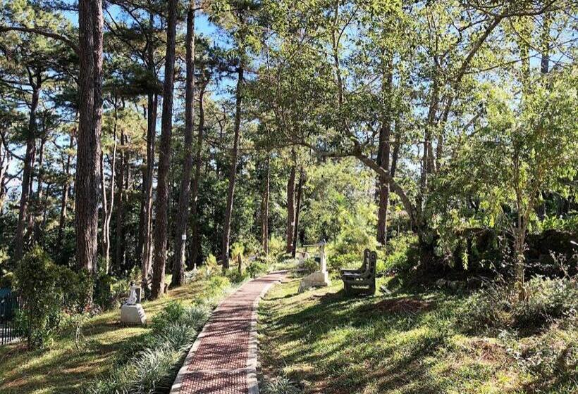 فندق Vista De Pino