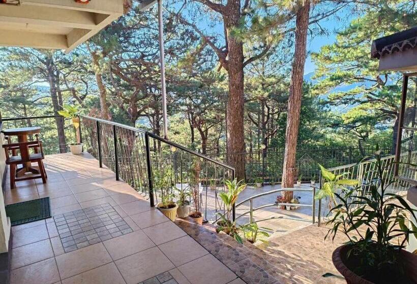 בית מלון כפרי Vista De Pino