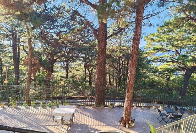 فندق Vista De Pino