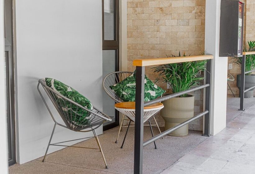 ユースホステル Mayan Monkey Los Cabos | Social