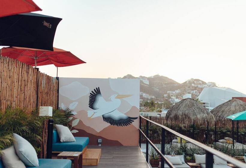 ユースホステル Mayan Monkey Los Cabos | Social