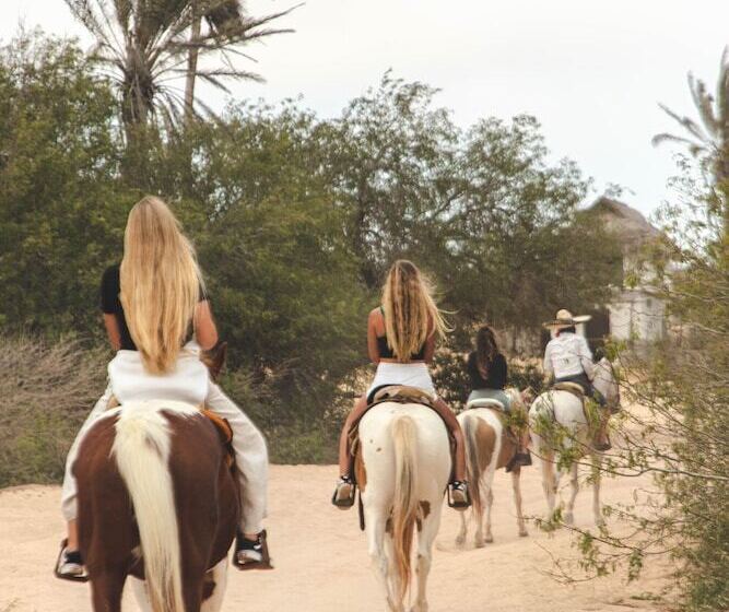 ユースホステル Mayan Monkey Los Cabos | Social