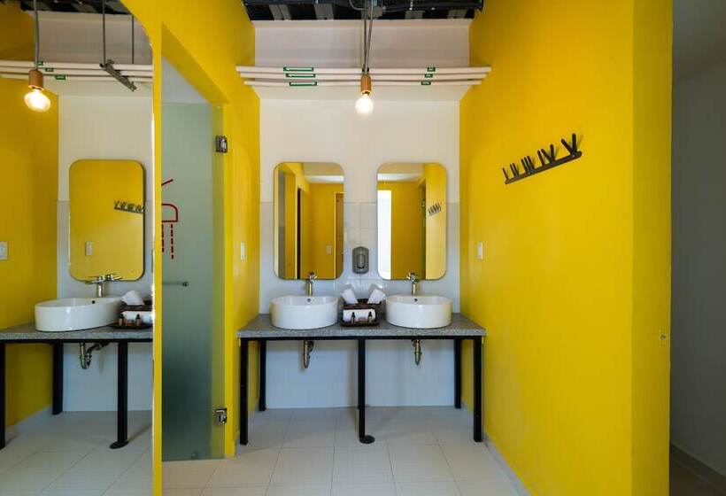 ユースホステル Mayan Monkey Los Cabos | Social