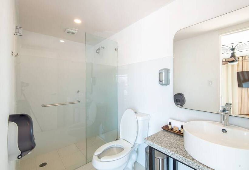 ユースホステル Mayan Monkey Los Cabos | Social