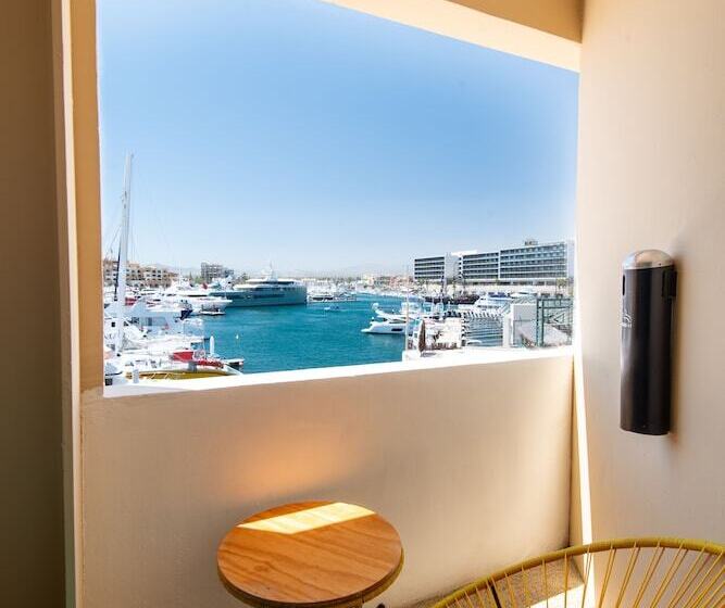 ユースホステル Mayan Monkey Los Cabos | Social