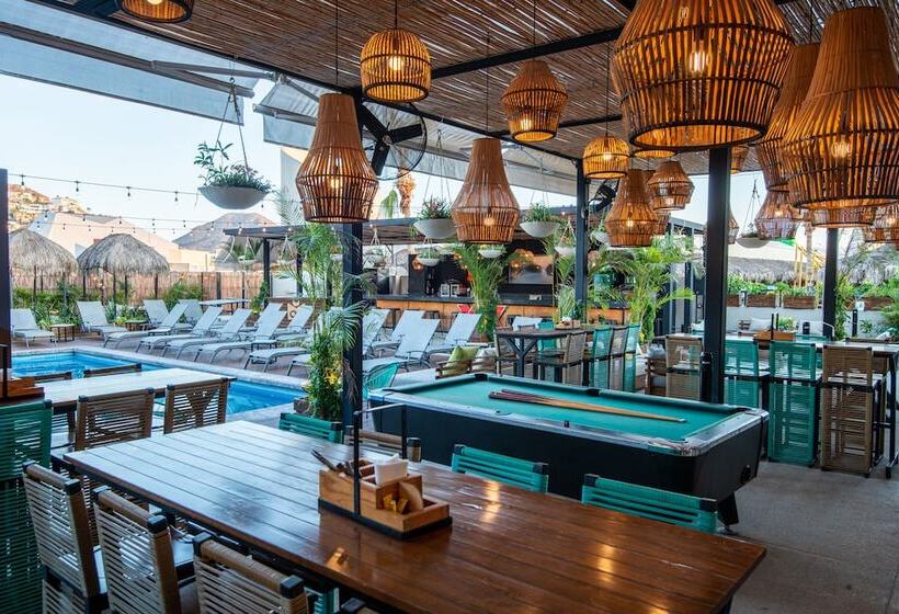 ユースホステル Mayan Monkey Los Cabos | Social