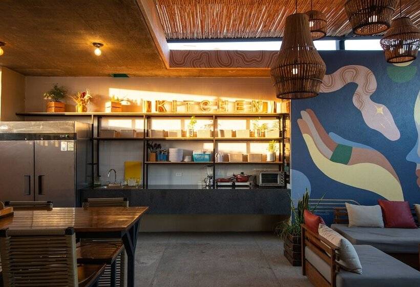 ユースホステル Mayan Monkey Los Cabos | Social