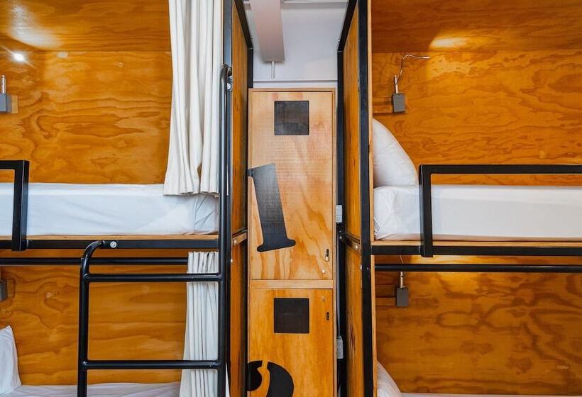 ユースホステル Mayan Monkey Los Cabos | Social