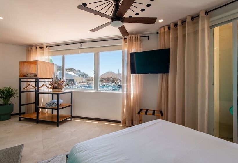 ユースホステル Mayan Monkey Los Cabos | Social