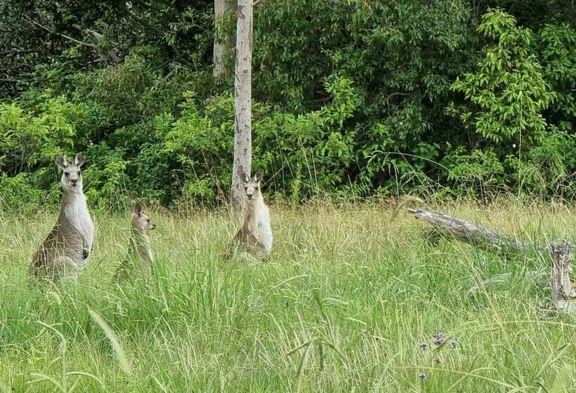 מוטל Vacy Hunter Valley Lodge