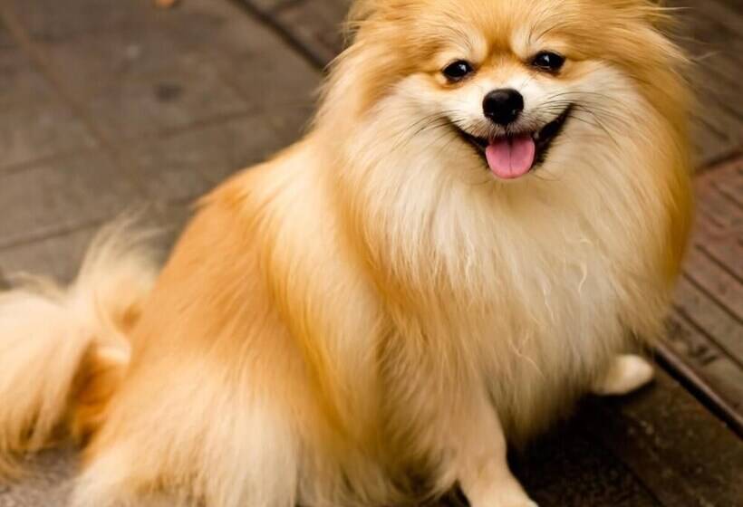 Nature Cottage Akabeko