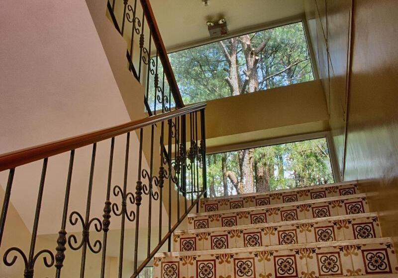 פנסיון Arc Residences