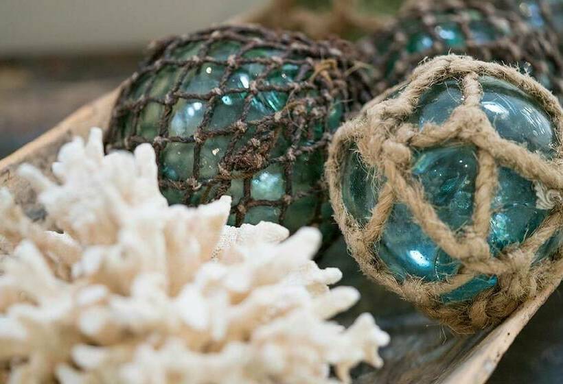 پانسیون Blue Peter