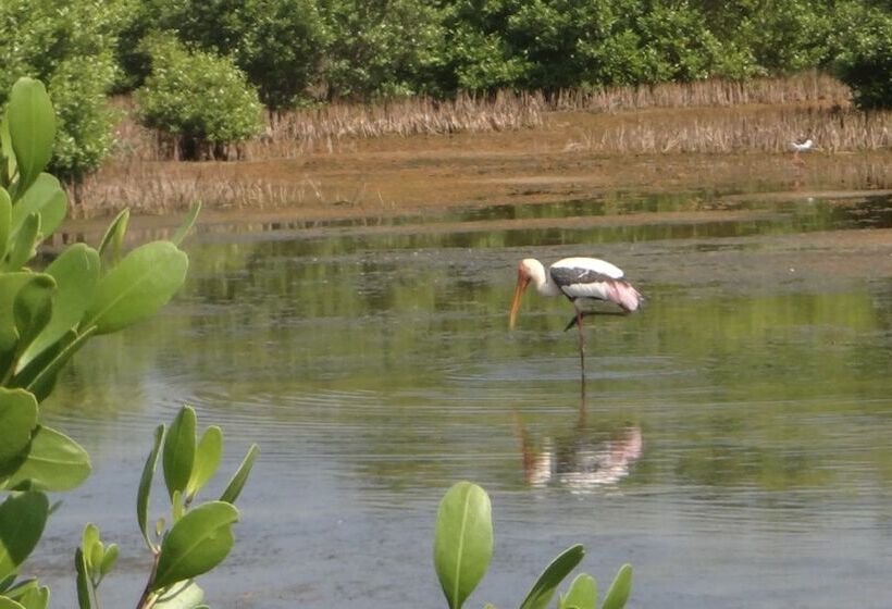 ペンション Eco Cabanas Marakolliya