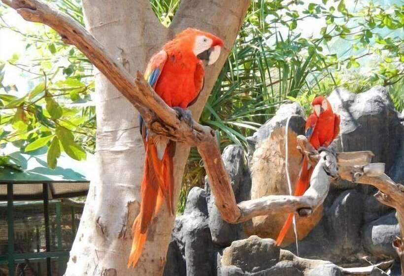 بنسيون Sari Laut