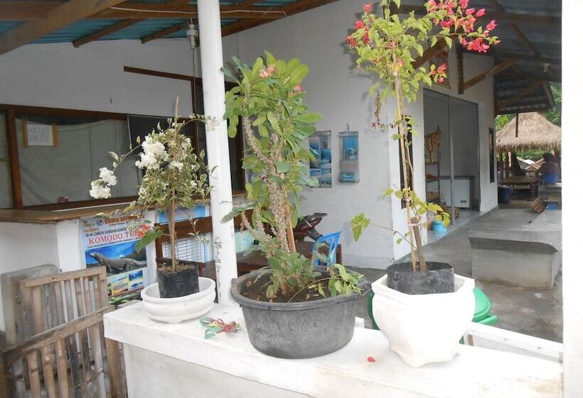 بنسيون Sari Laut