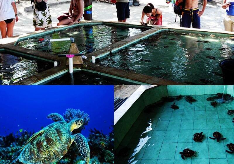 بنسيون Sari Laut