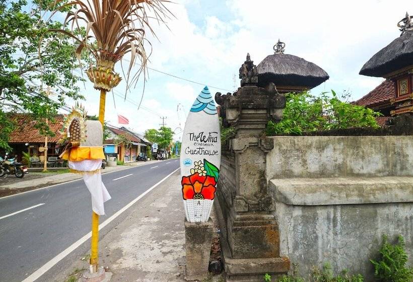 بنسيون The Wina Echo Beach Guest House