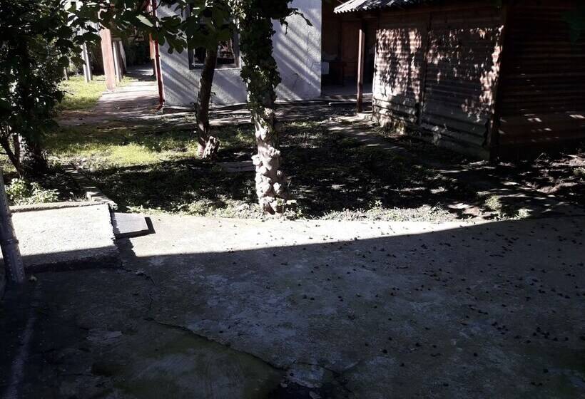 هاستل Cozy Home