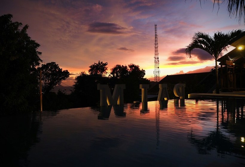 هاستل The Palm Komodo