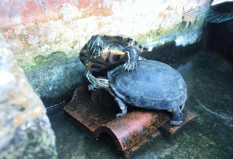 مبيت وإفطار Alamanda Accomodation