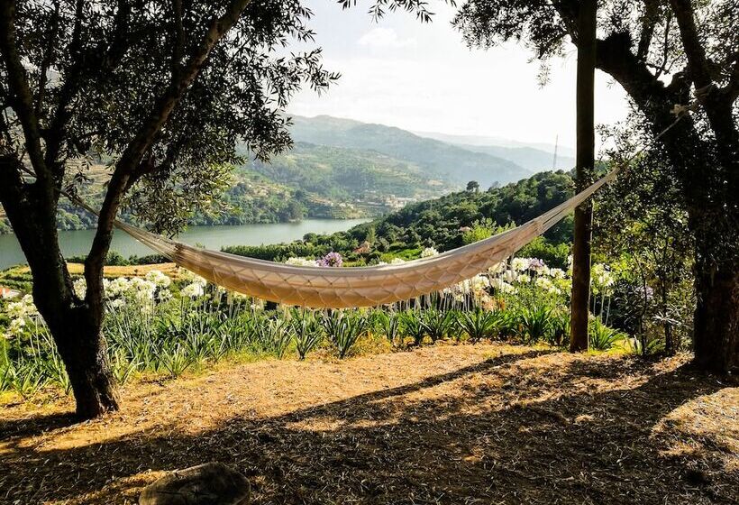 Casa Da Mouta   Douro Valley