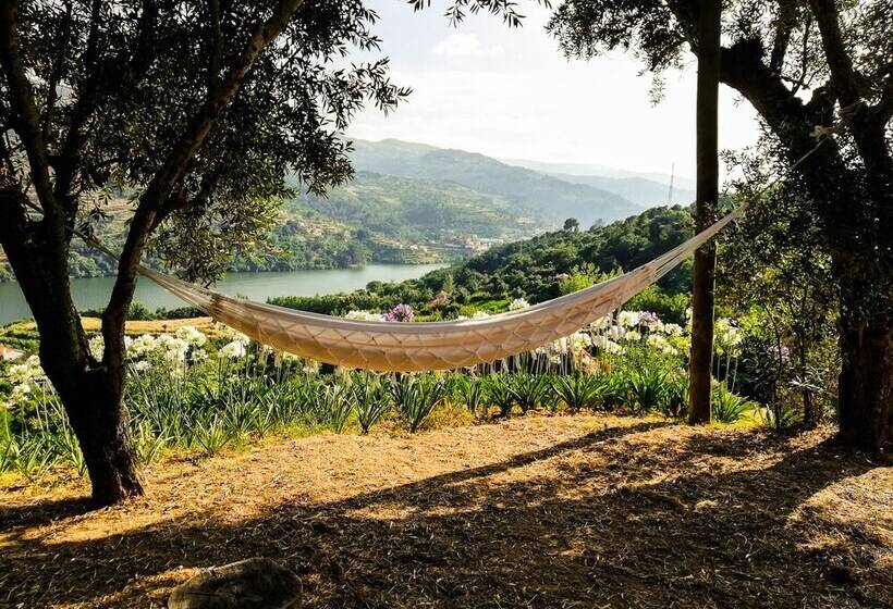 Casa Da Mouta   Douro Valley